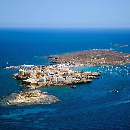 Very Lightful Apartment. Incredible Sea Views. Big Terrace, Swimming Pool. Ac. Very Close To Alicante City Center. Exteriör bild